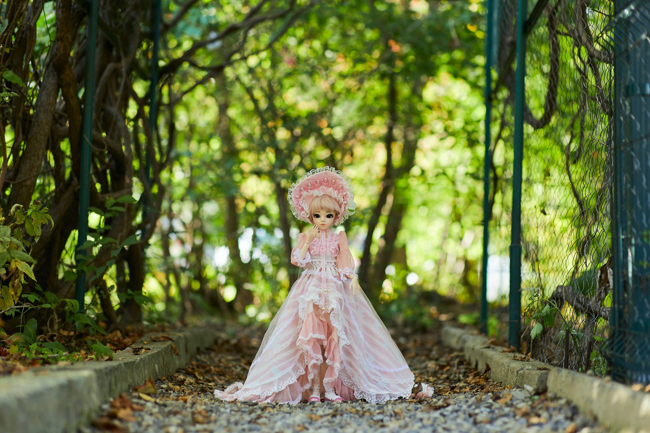The Ultimate Guide to Doll Photography