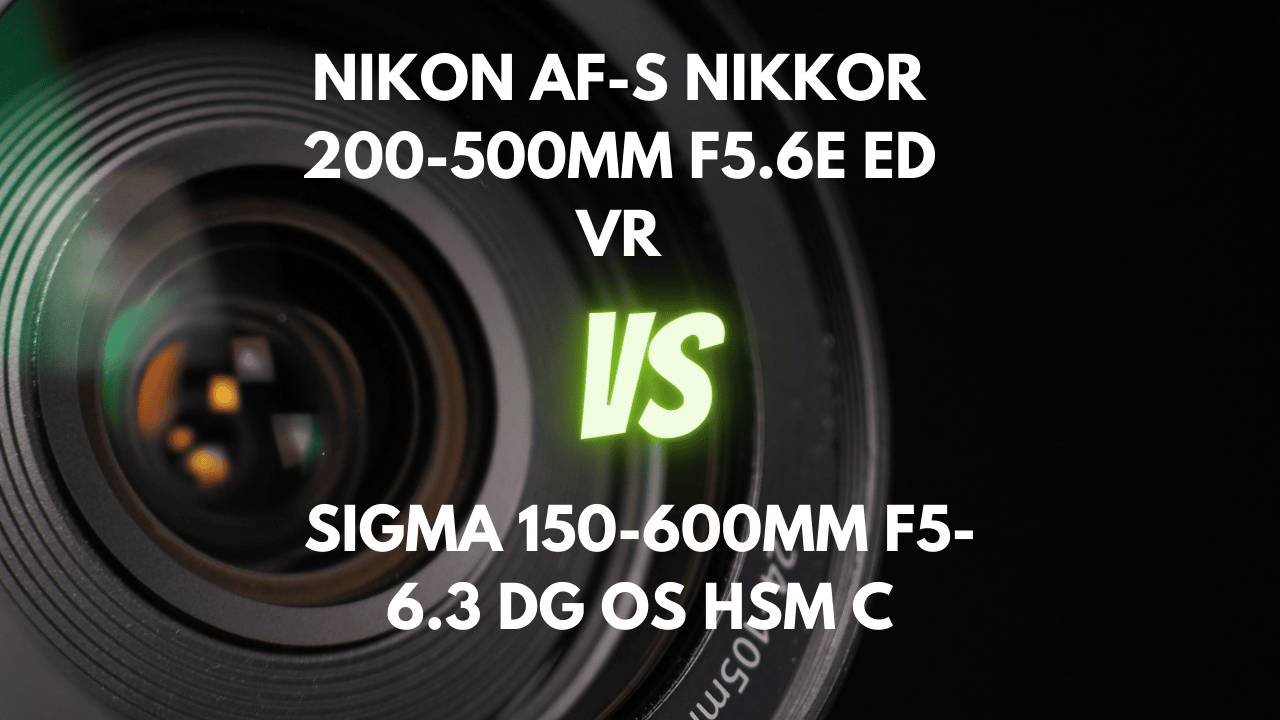 nikon 200-500mm vs sigma 150-600mm contemporary